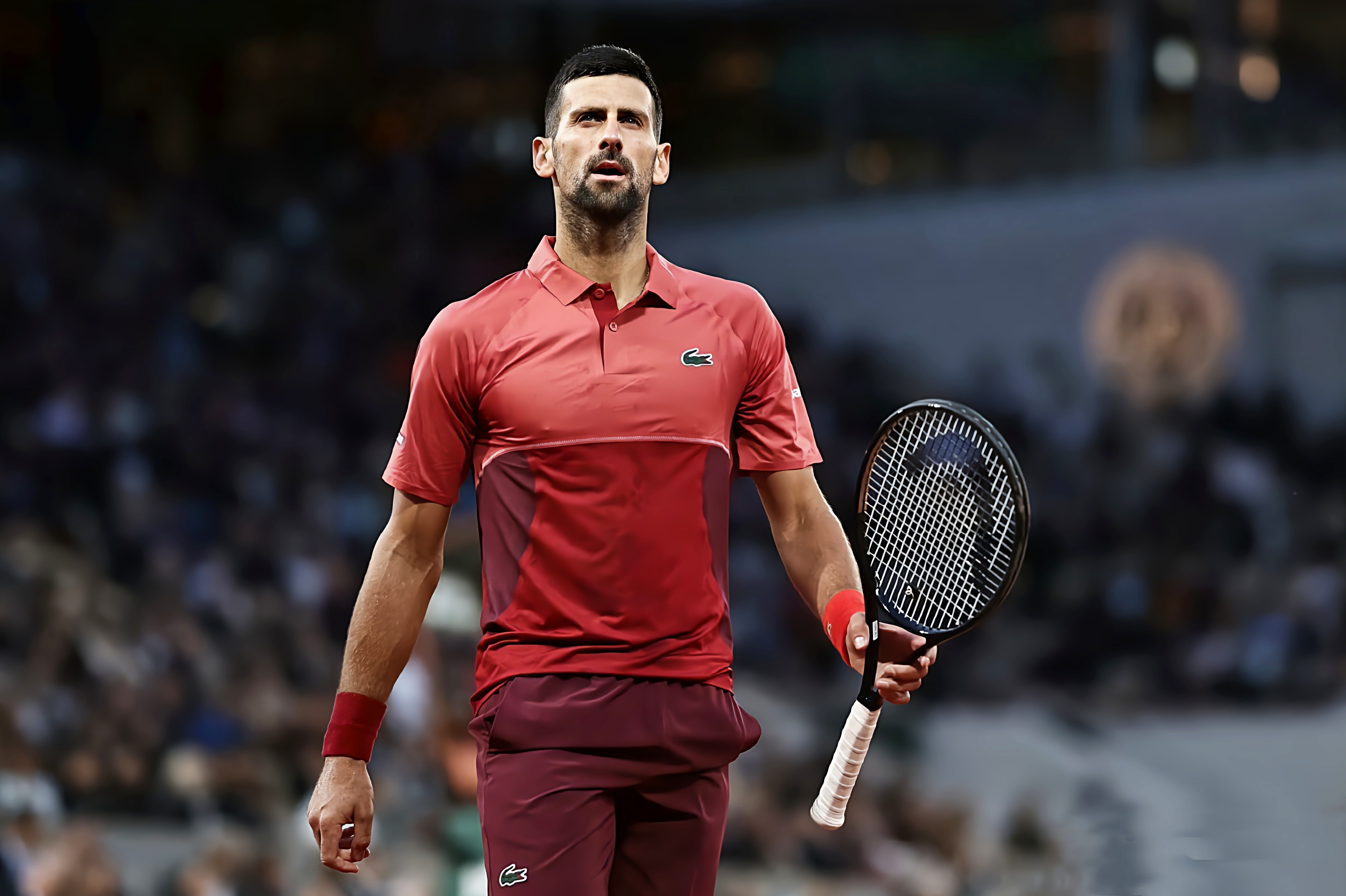 美网横扫戴维斯杯，德约科维奇统治全场