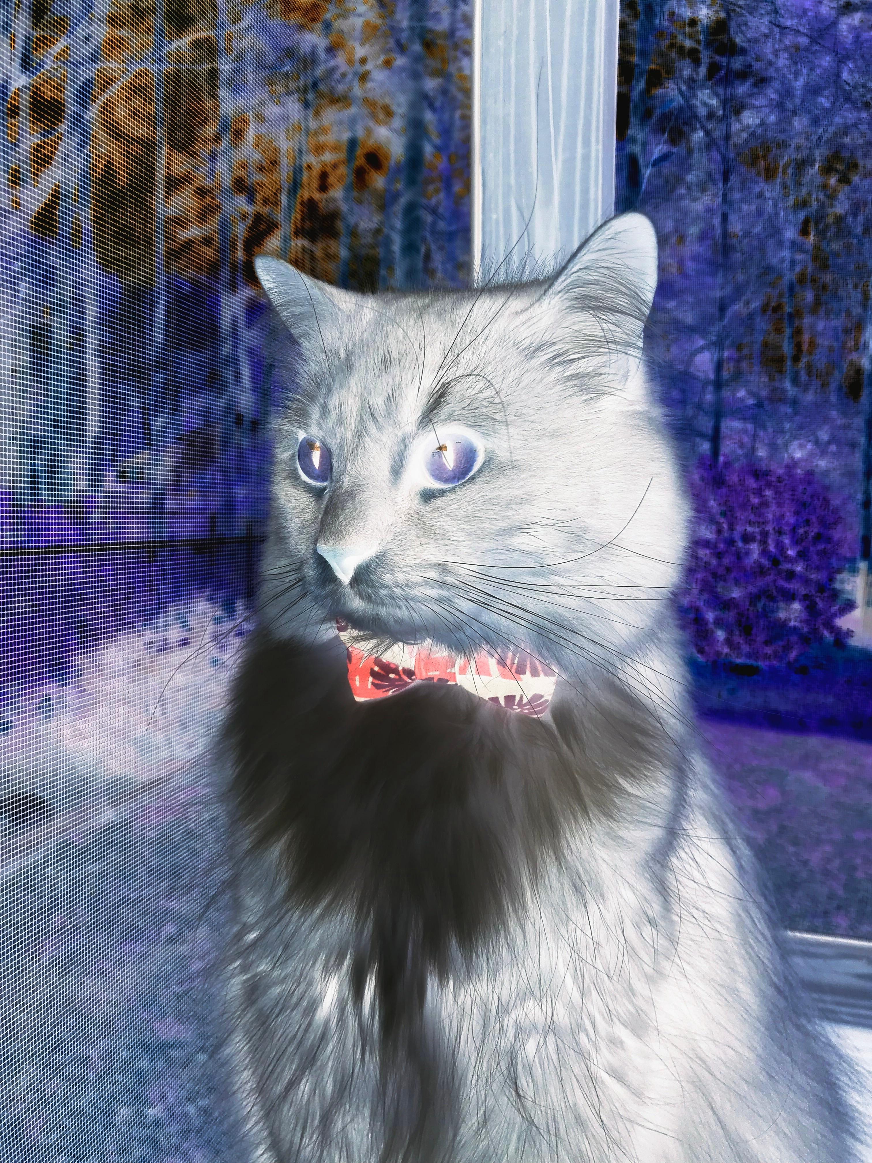 雷霆与龙卷风，当新生代掀起篮球世界的风暴