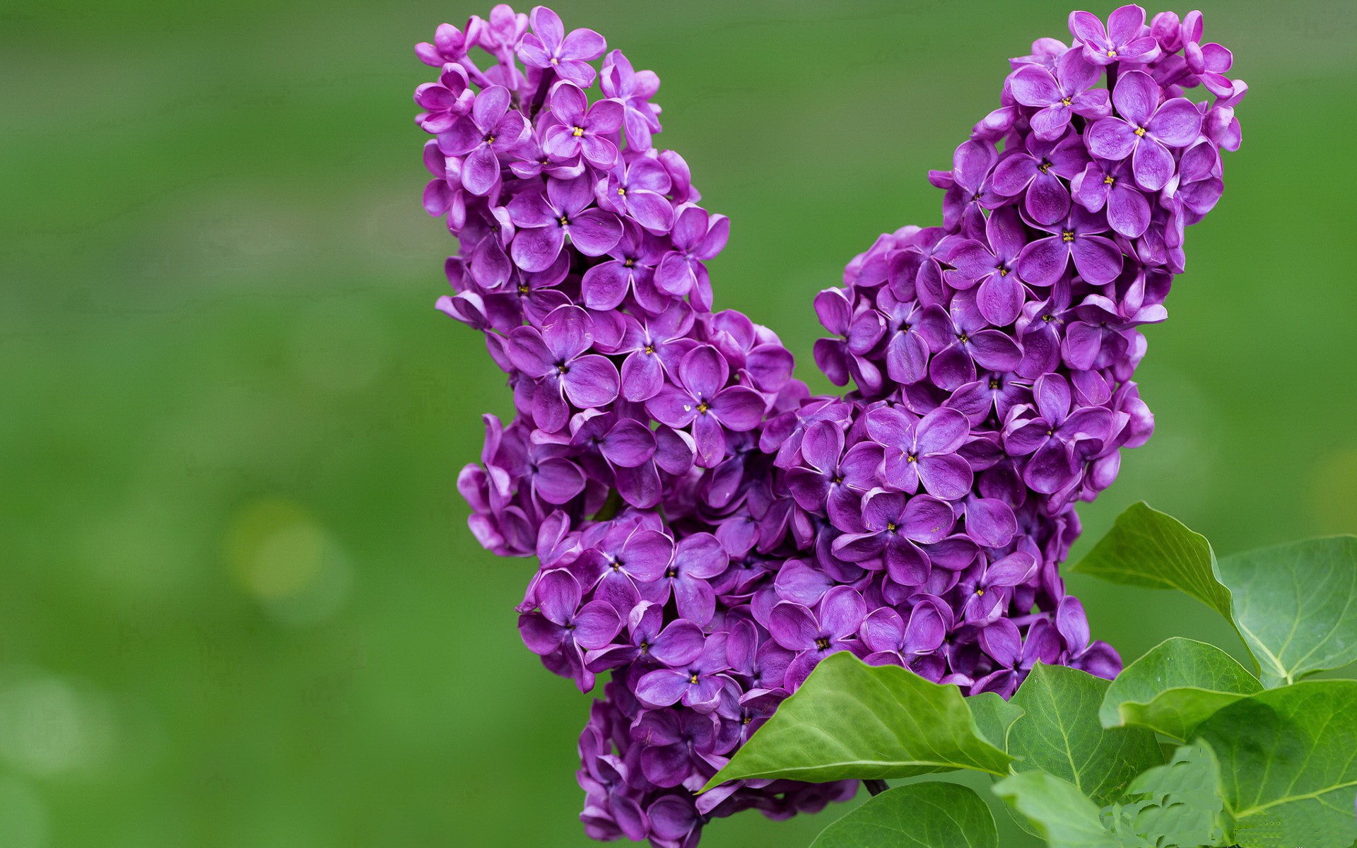 跨洋爆冷，尼克斯轻取广东，爱德华兹导演剧本改写