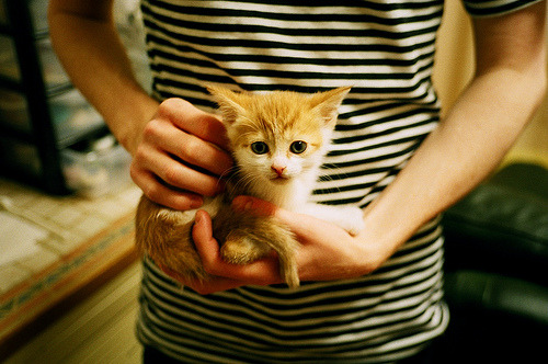 恩比德登基之战,当无解个人与完美团队在篮网画布上挥就史诗