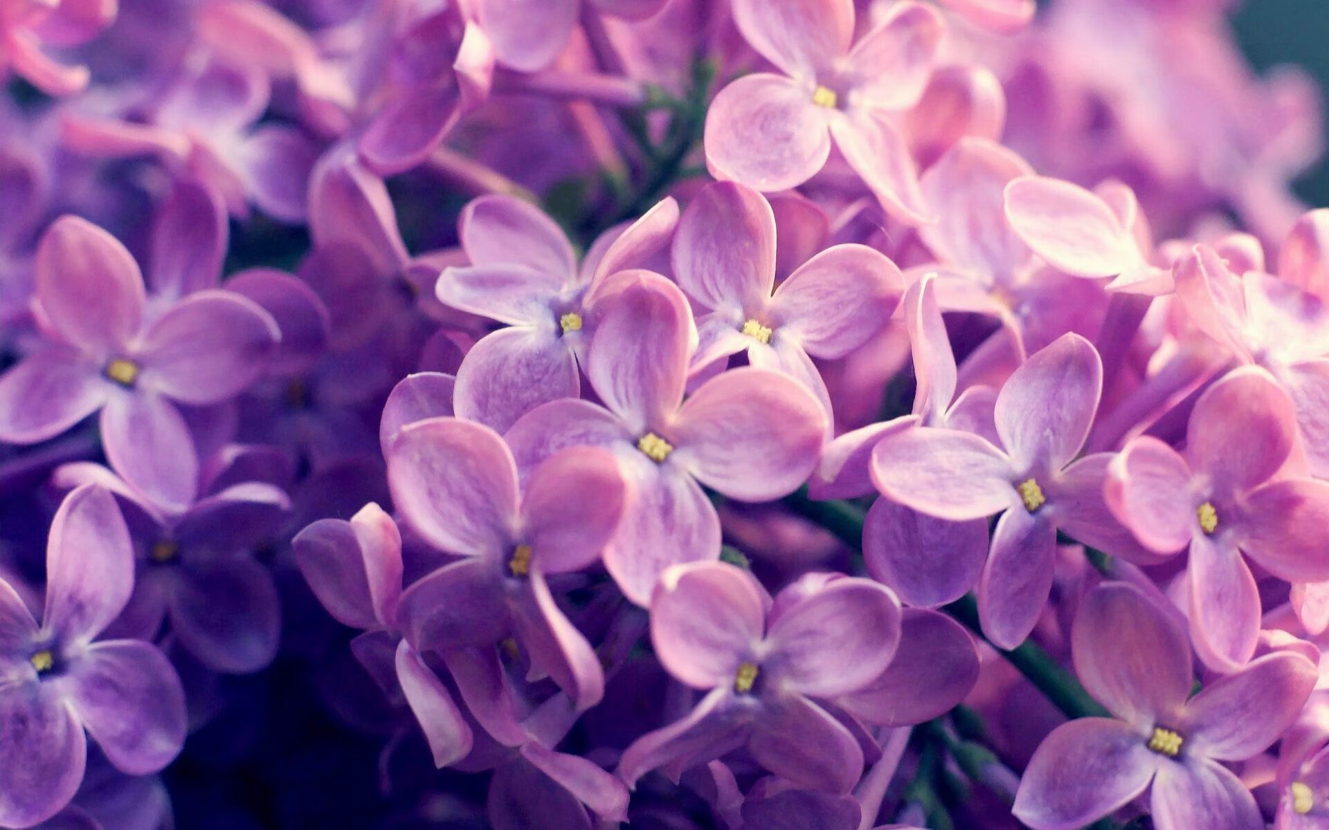 爱游戏官方-沙特奇兵绞杀红龙，阿圭罗同一夜晚跨越千年里程碑