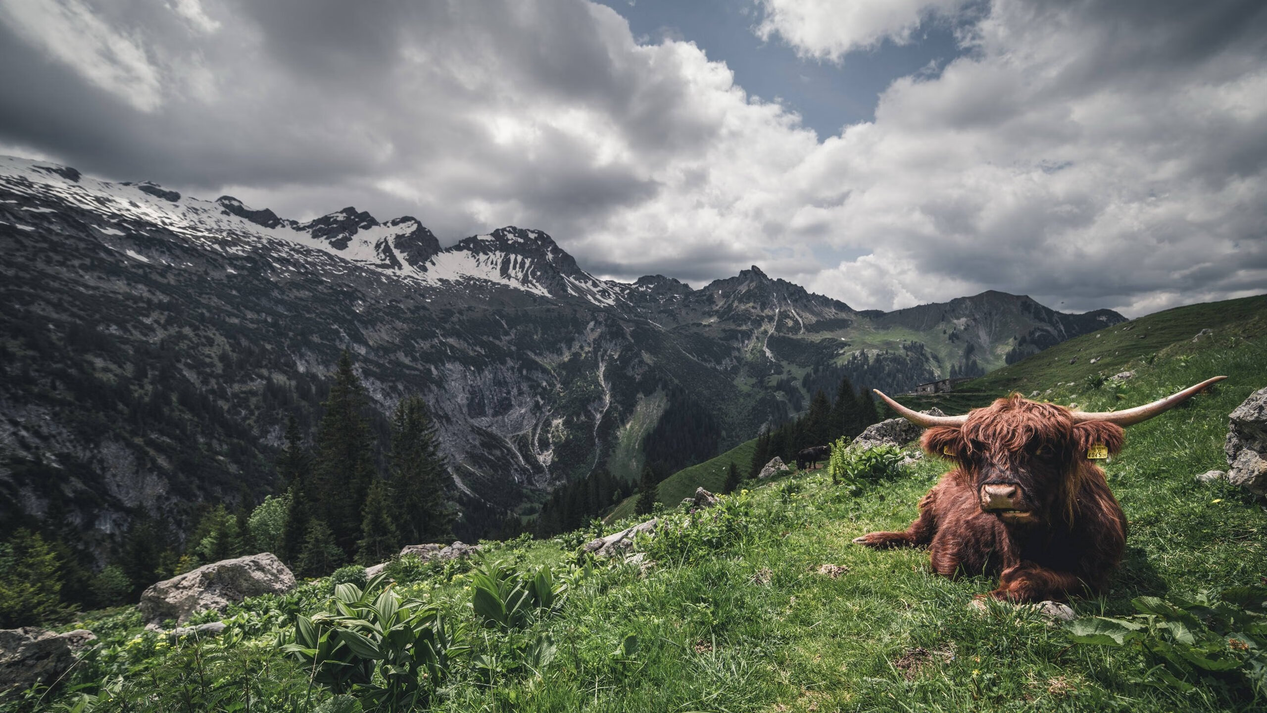 伯纳乌神迹之夜，当凡人血液点燃星辰—记奥亚尔萨瓦尔的双响与西甲的永恒剧本