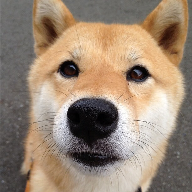 烈火冰锋,当水花之矛刺穿苍穹,南海岸之盾却让浙江黯然