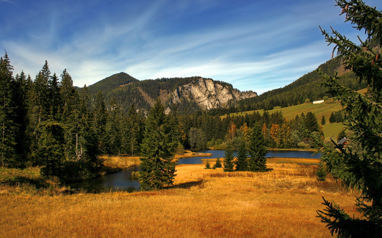 绿军恐惧的并非输球，而是锡安成了噩梦本身