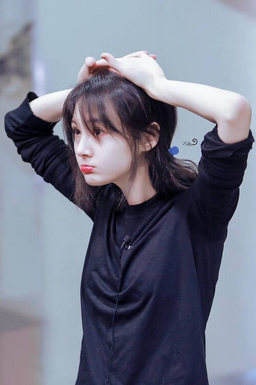 钝刀与手术刀，法德大战中若日尼奥的硬仗艺术