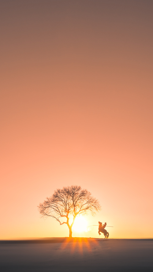 点球鏖战!塞内加尔坚韧晋级,富安健洋心理涅槃定乾坤