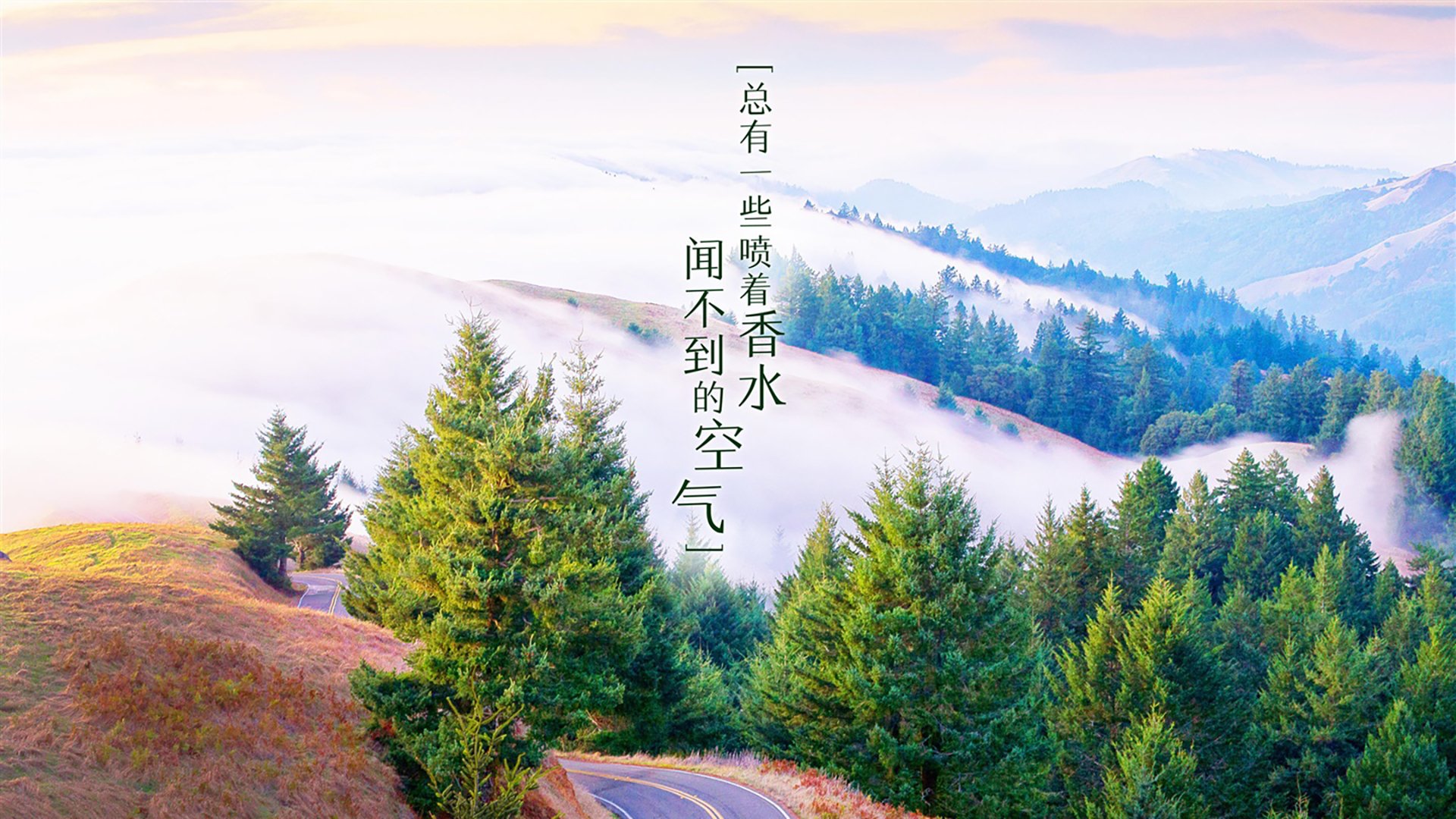2026世界杯D组暗夜惊雷，罗马尼亚碾压葡萄牙，维尼修斯以一人之力改写足球版图