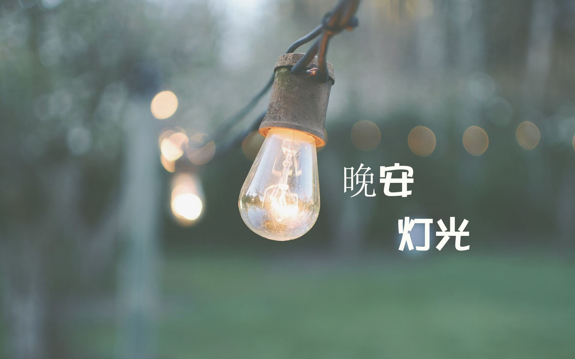 奇迹之夜,2026世界杯半决赛,哥斯达黎加完胜芬兰,B费带队书写历史唯一篇章