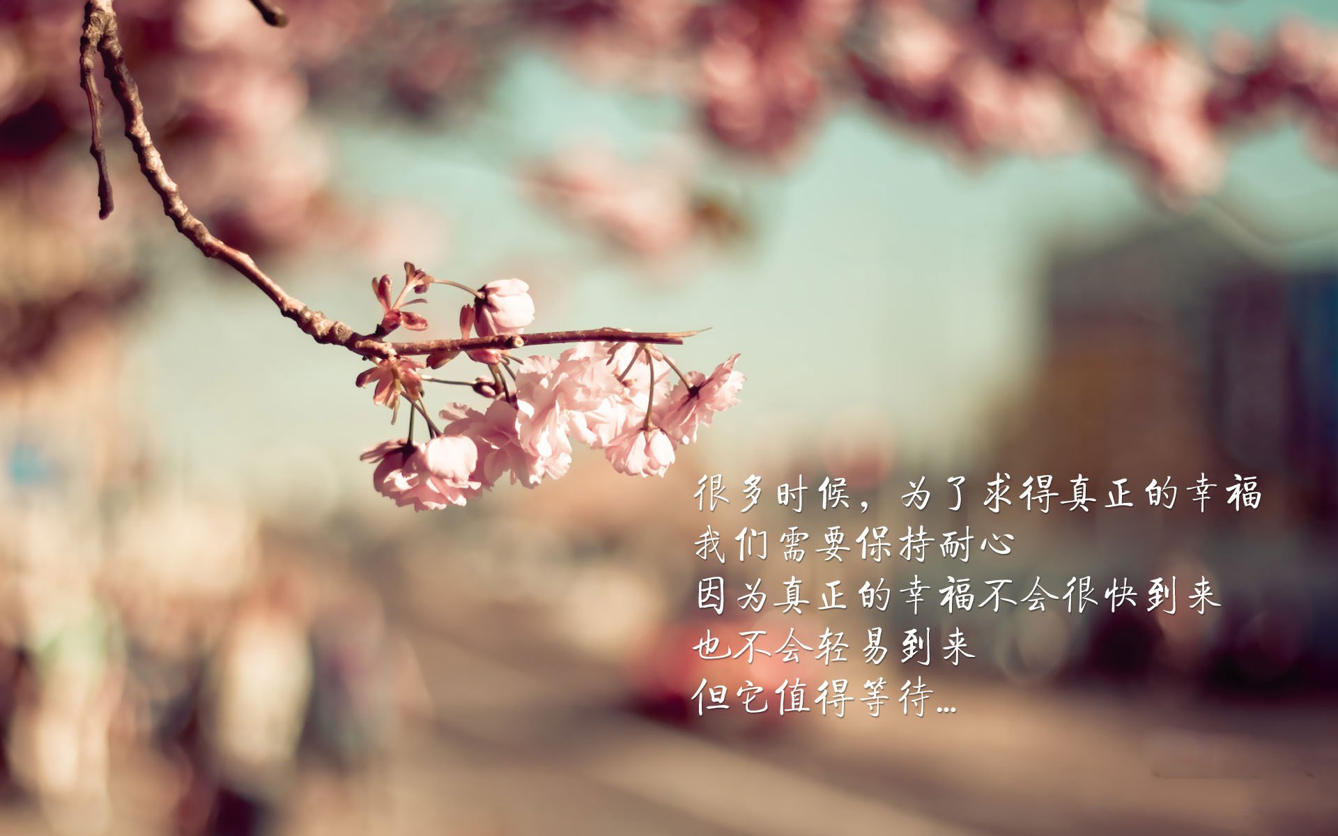 沙漠之鹰击碎桑巴,2026世界杯H组,伊朗闪电反击掀翻巴西,莱万独木难支成悲情英雄