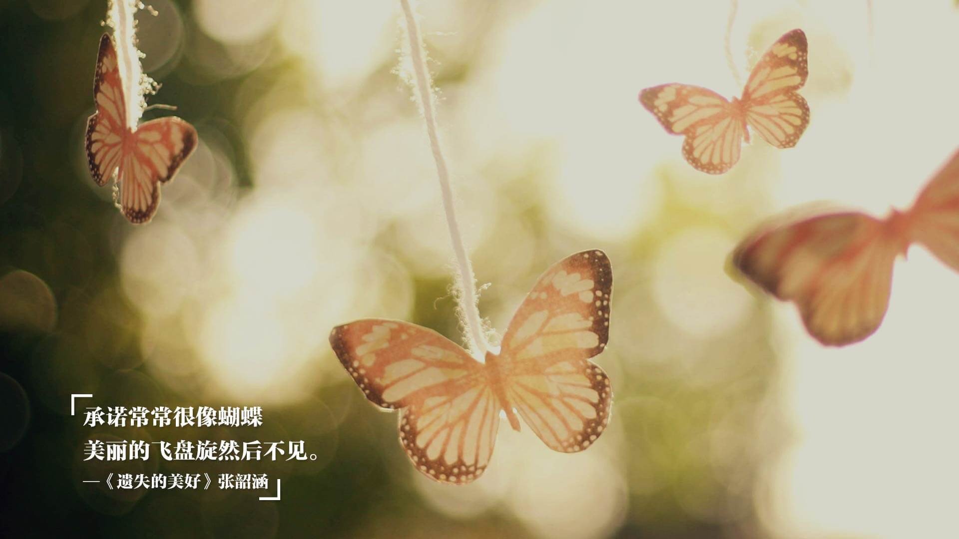 无解的节奏,唯一的王座,当厄瓜多尔在D组用完胜重写足球的物理法则